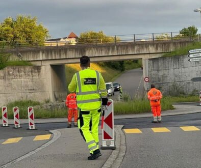 Brunnen-albisecurity