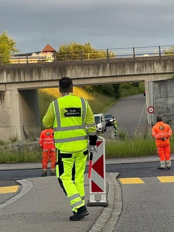 Brunnen-albisecurity